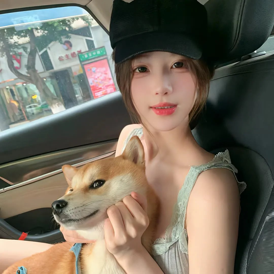 汪汪队立大功第四季